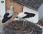 Capi_Dubne_20250409_125503.jpg