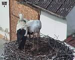 Capi_Dubne_20250409_131003.jpg