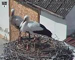 Capi_Dubne_20250409_135503.jpg