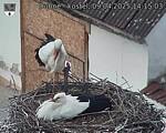 Capi_Dubne_20250409_141503.jpg