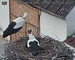 Capi_Dubne_20250409_142003.jpg