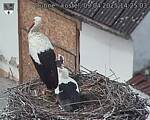 Capi_Dubne_20250409_142503.jpg