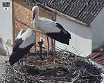 Capi_Dubne_20250409_145503.jpg