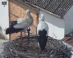 Capi_Dubne_20250409_150503.jpg