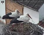 Capi_Dubne_20250409_152503.jpg