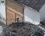 Capi_Dubne_20250409_155503.jpg