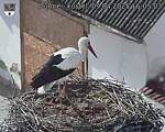 Capi_Dubne_20250409_160503.jpg