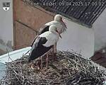 Capi_Dubne_20250409_170002.jpg