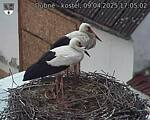 Capi_Dubne_20250409_170502.jpg