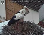 Capi_Dubne_20250409_171003.jpg