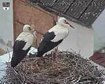 Capi_Dubne_20250409_173502.jpg