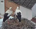 Capi_Dubne_20250409_175003.jpg