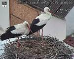 Capi_Dubne_20250409_180503.jpg