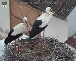 Capi_Dubne_20250409_181002.jpg