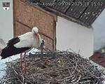 Capi_Dubne_20250409_181502.jpg