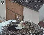 Capi_Dubne_20250409_182002.jpg