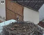 Capi_Dubne_20250409_183503.jpg