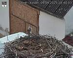 Capi_Dubne_20250409_184003.jpg