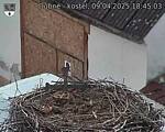 Capi_Dubne_20250409_184503.jpg