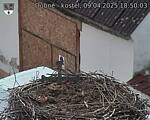 Capi_Dubne_20250409_185003.jpg