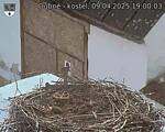 Capi_Dubne_20250409_190003.jpg