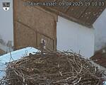 Capi_Dubne_20250409_191003.jpg