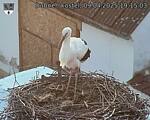 Capi_Dubne_20250409_191503.jpg