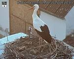 Capi_Dubne_20250409_192003.jpg