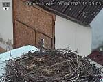 Capi_Dubne_20250409_192503.jpg