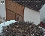 Capi_Dubne_20250409_193003.jpg