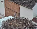 Capi_Dubne_20250409_193503.jpg