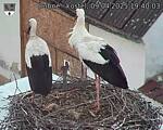 Capi_Dubne_20250409_194003.jpg