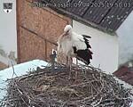 Capi_Dubne_20250409_195003.jpg