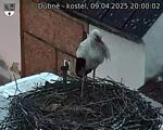 Capi_Dubne_20250409_200002.jpg