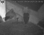 Capi_Dubne_20250409_203002.jpg