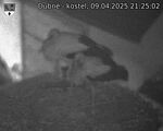 Capi_Dubne_20250409_212502.jpg
