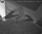 Capi_Dubne_20250409_213003.jpg