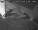 Capi_Dubne_20250409_214002.jpg