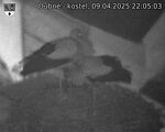 Capi_Dubne_20250409_220503.jpg