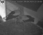 Capi_Dubne_20250409_221002.jpg