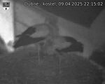 Capi_Dubne_20250409_221502.jpg