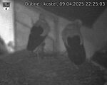 Capi_Dubne_20250409_222503.jpg