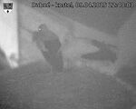 Capi_Dubne_20250409_224003.jpg