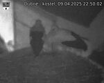 Capi_Dubne_20250409_225002.jpg