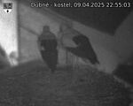 Capi_Dubne_20250409_225503.jpg
