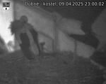 Capi_Dubne_20250409_230002.jpg