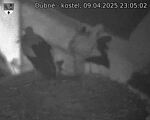 Capi_Dubne_20250409_230502.jpg