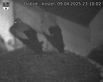 Capi_Dubne_20250409_231002.jpg