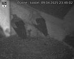 Capi_Dubne_20250409_234002.jpg