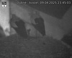 Capi_Dubne_20250409_234503.jpg